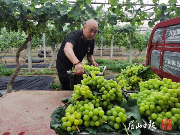 销售旺季忙不停。