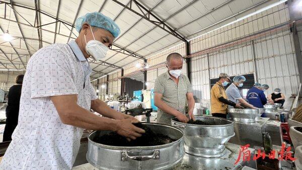 九香茶王茶叶有限公司制茶车间制作春茶。 九香茶王茶叶有限公司制茶车间制作春茶。