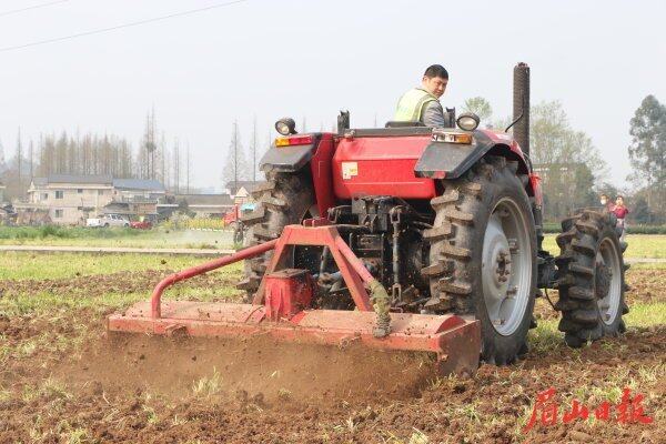 工作人员驾驶农机进行翻耕作业。 工作人员驾驶农机进行翻耕作业。