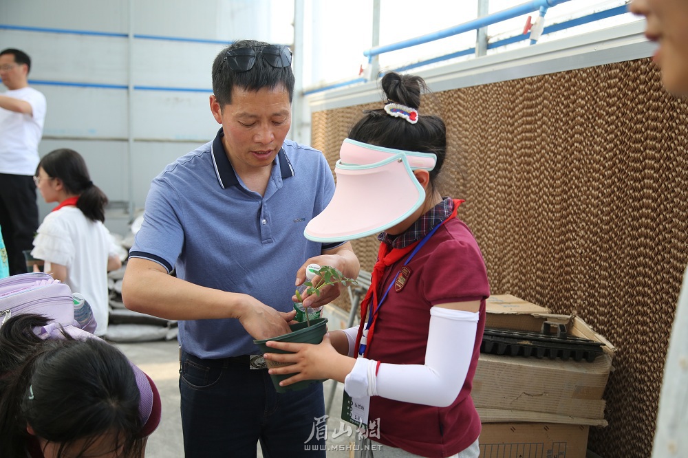 高建刚（中）为学生讲解如何栽种番茄秧苗。 (1).JPG