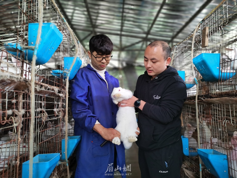 张伟（右）为群众销售兔子。.jpg