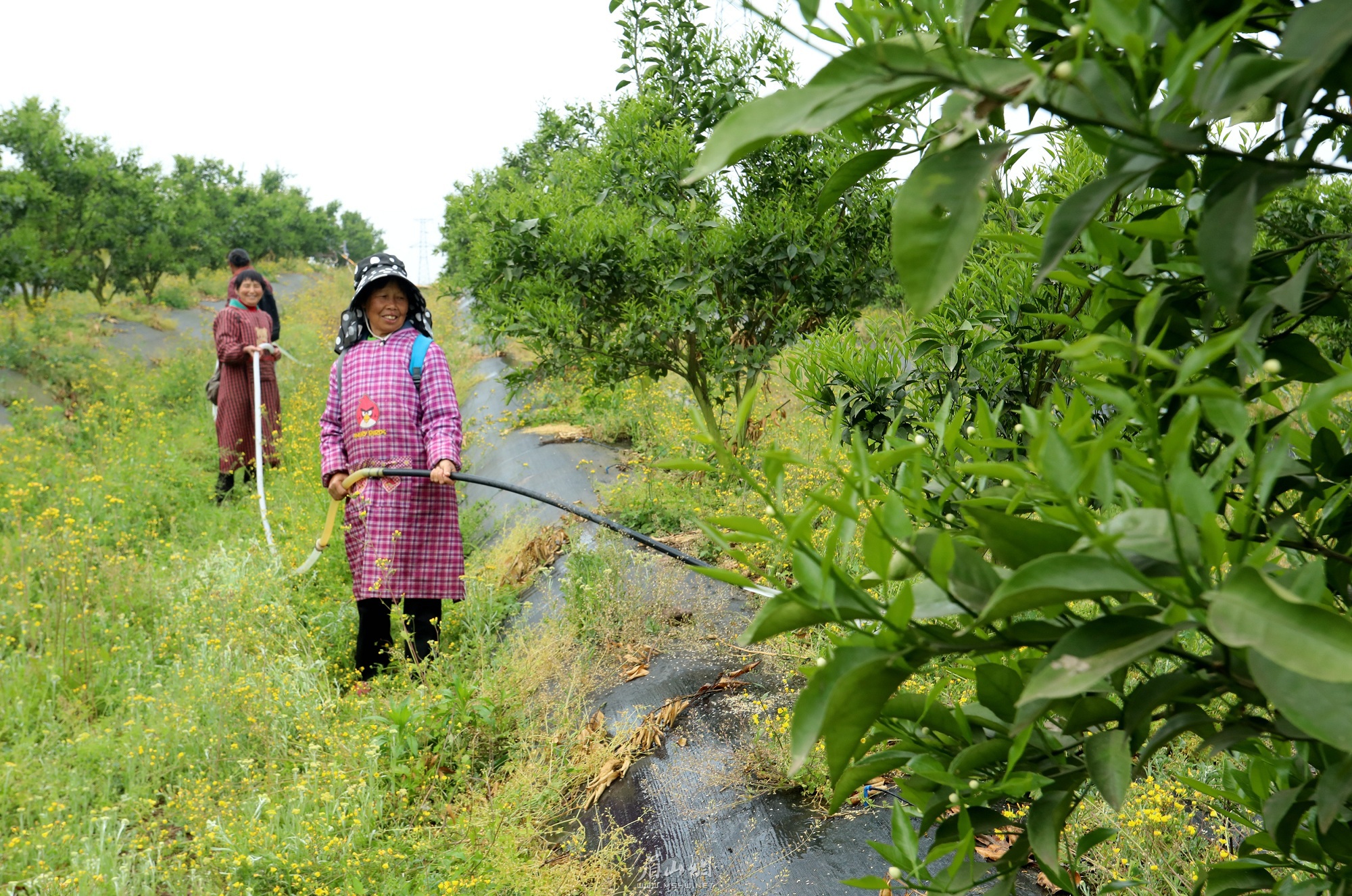 村民正在基地内务工。.jpg