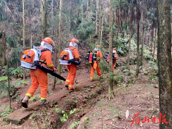 开展防火巡护检查 开展防火巡护检查