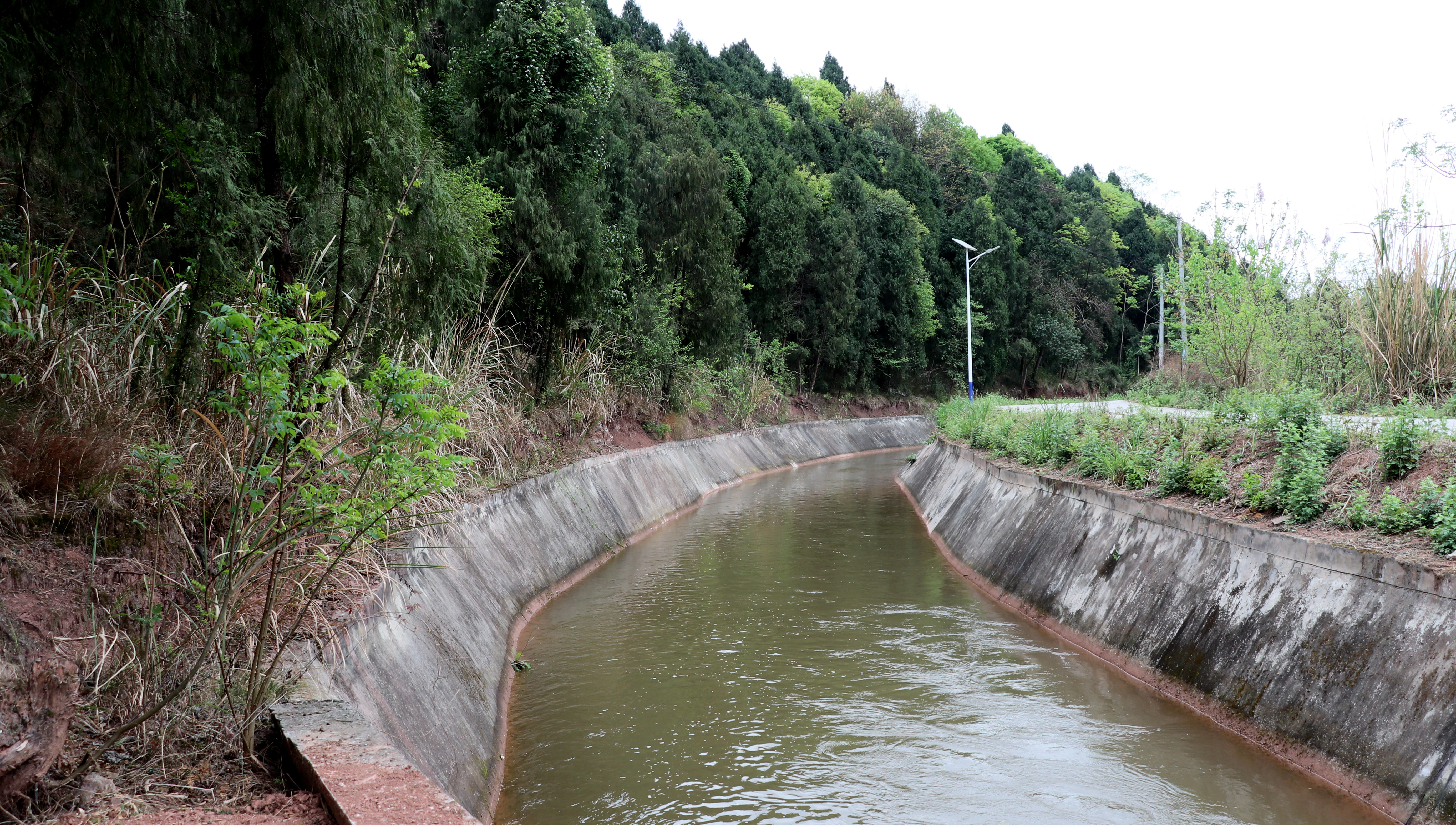 W020220419527745962677.jpg W020220419527745962677.jpg