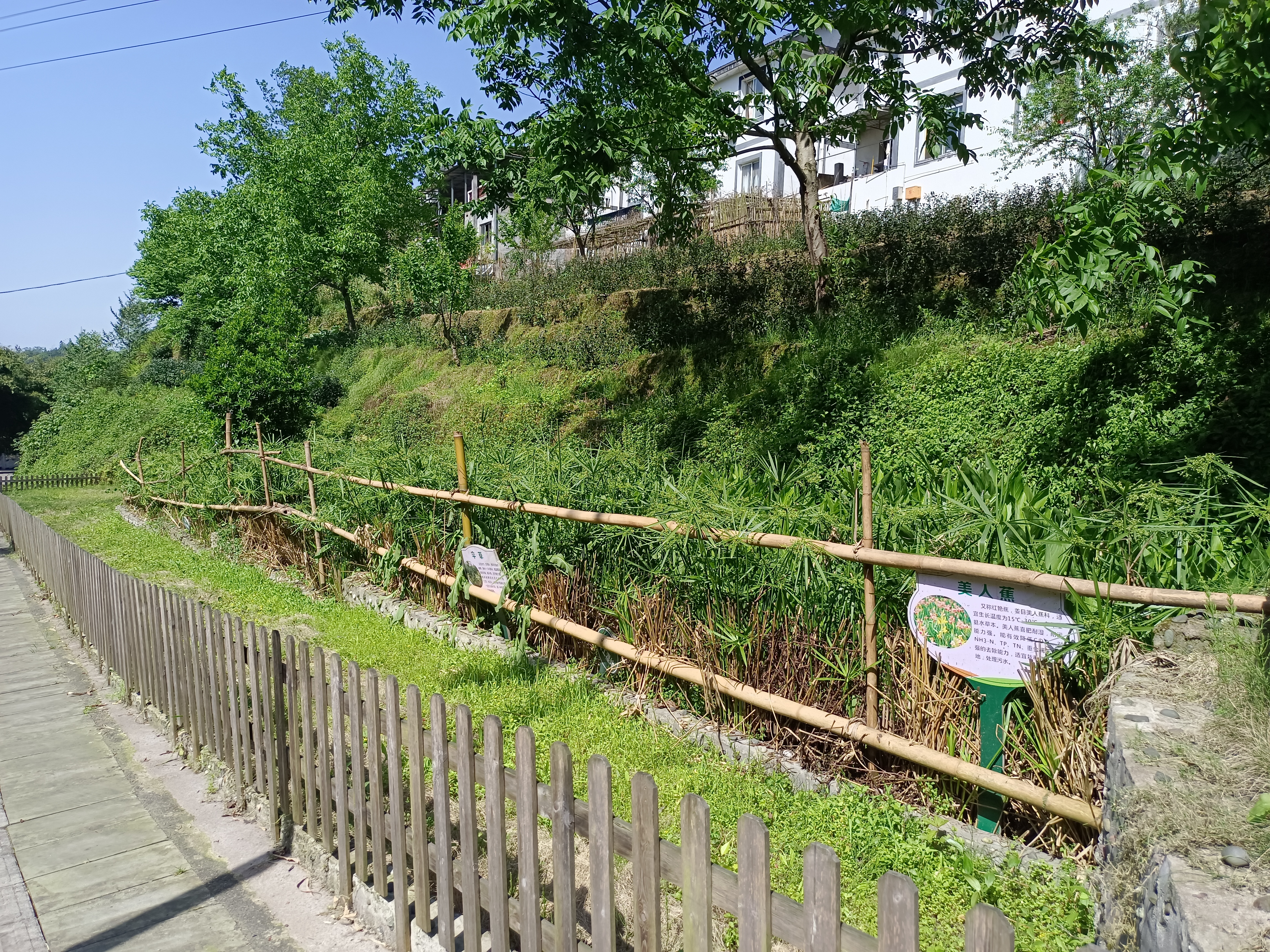 W020220424520657505101.jpg W020220424520657505101.jpg