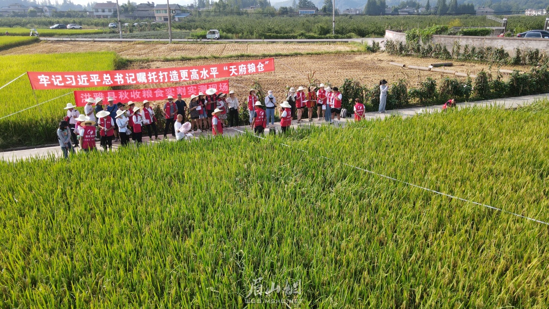 深入田间学习测产。.JPG