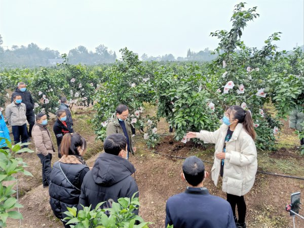 W020220908361879985641_600.jpg W020220908361879985641_600.jpg