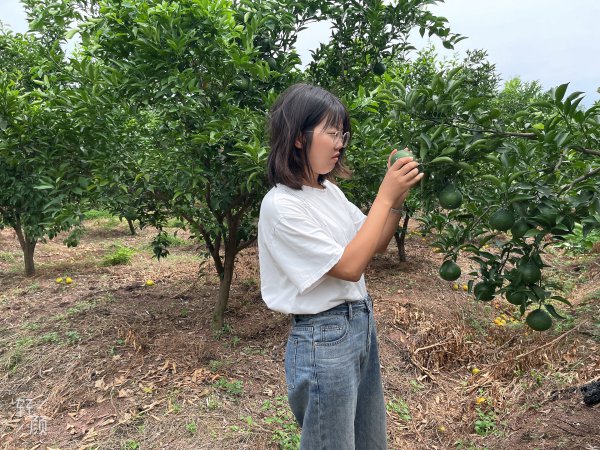 W020220908361879687037_600.jpg W020220908361879687037_600.jpg