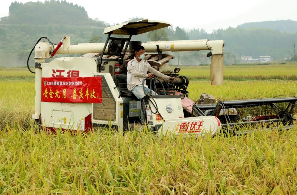 W020220914359807221022_600.jpg W020220914359807221022_600.jpg