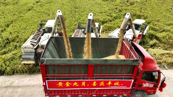 W020220914359807507326_600.jpg W020220914359807507326_600.jpg