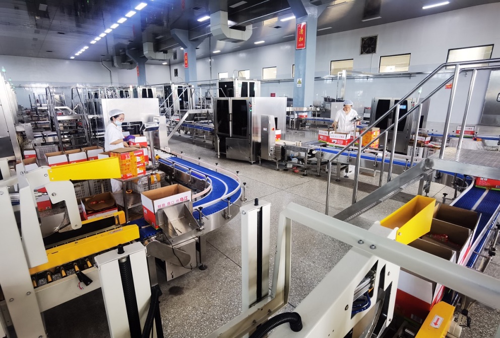 在眉山市东坡区的中国泡菜城，泡菜生产企业正开足马力生产。王允浩 摄