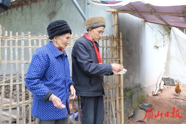 吕从安和向玉珍一起喂鸡。 吕从安和向玉珍一起喂鸡。