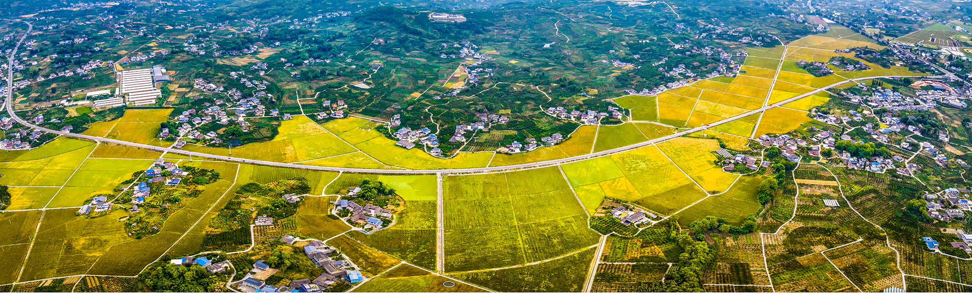 W020221108790938665466.jpg W020221108790938665466.jpg