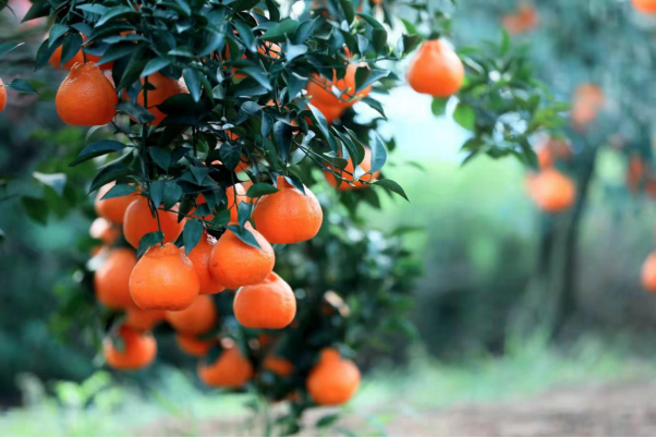 W020221108785329758592.jpg W020221108785329758592.jpg