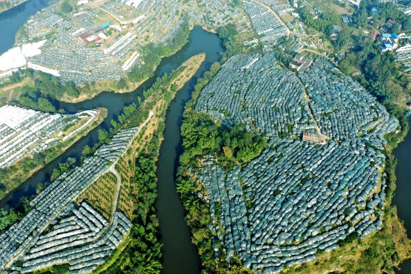 W020221108646159212454_600.jpg W020221108646159212454_600.jpg