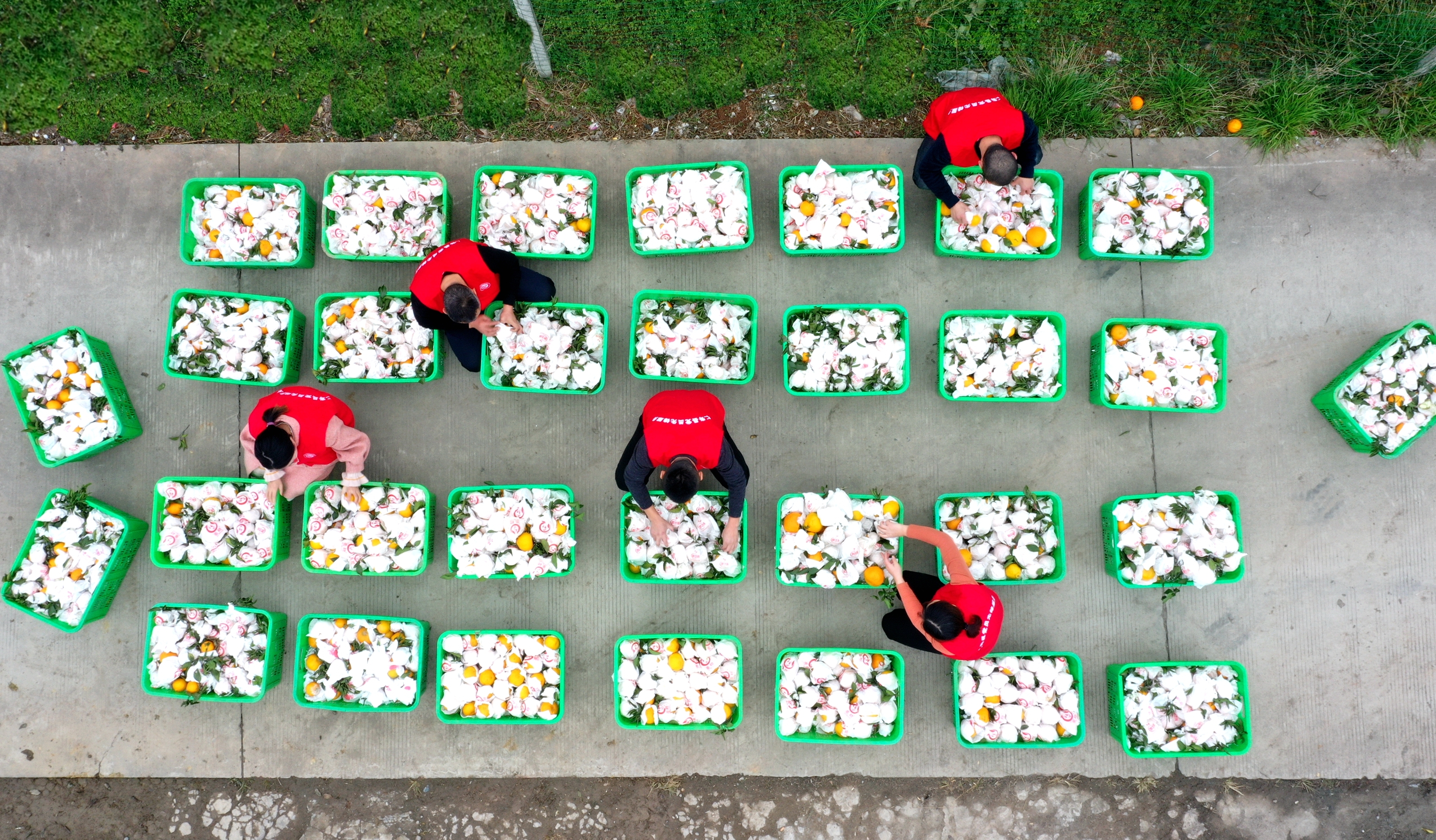 W020221108646157808943.jpg W020221108646157808943.jpg