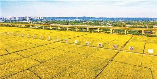 眉山市东坡区永丰村天府粮仓。侯建明 摄 眉山市东坡区永丰村天府粮仓。侯建明 摄