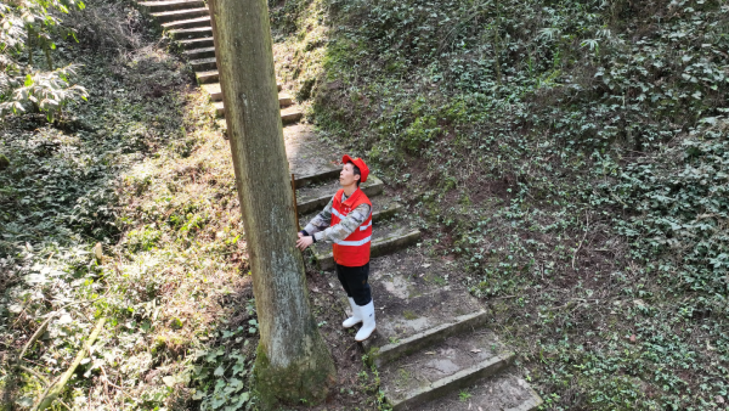  余红林在巡山。