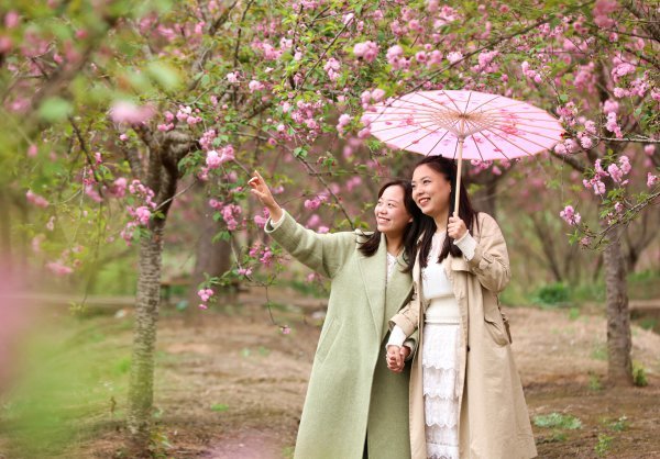  游客在曲江社区赏花。