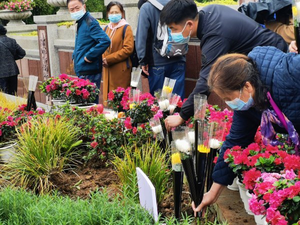 家属为生态葬逝者献花。