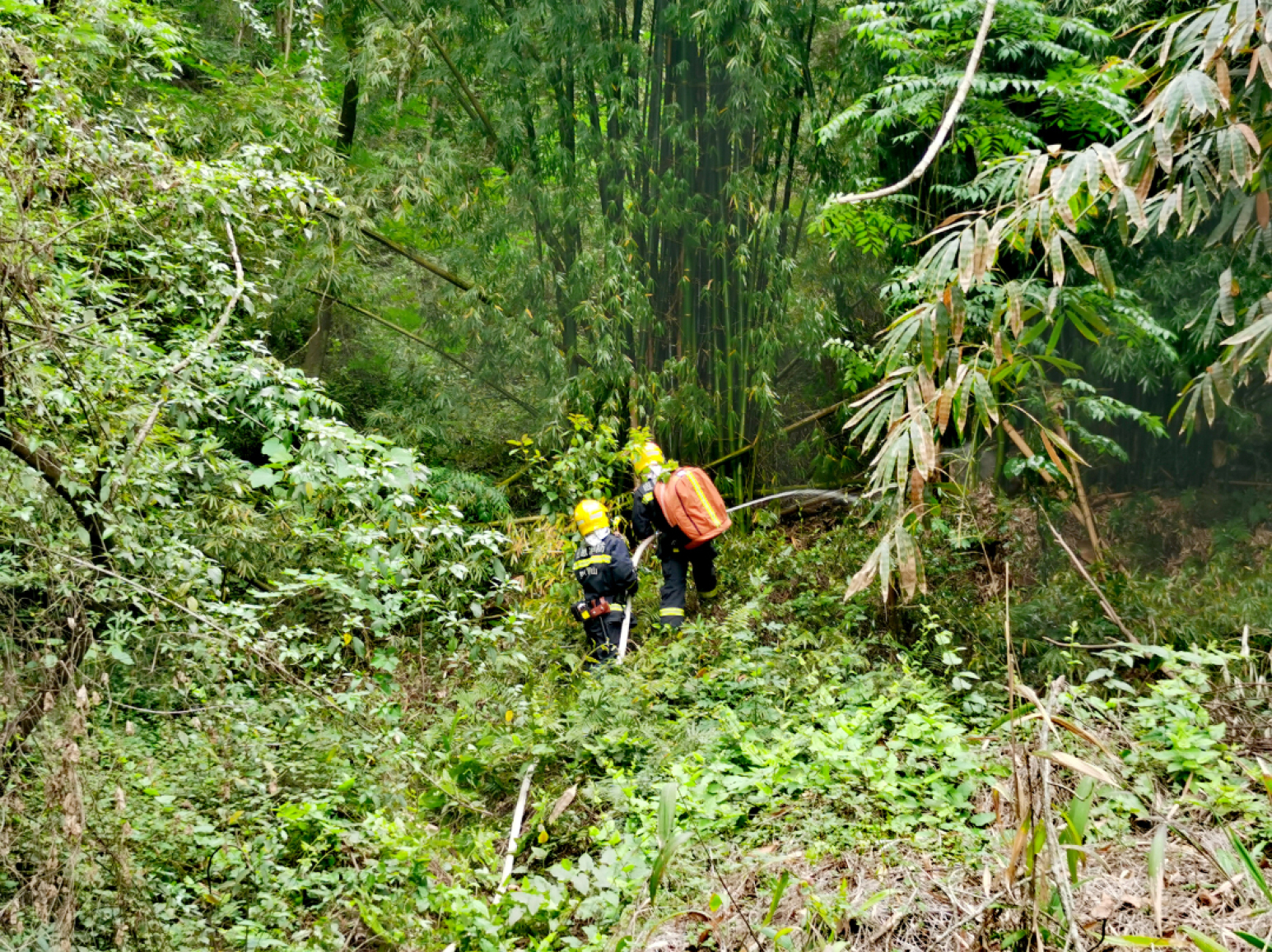 森林灭火演练现场。