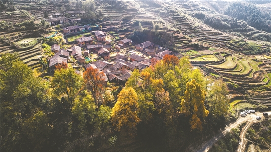 修水萡竹古村。.jpg