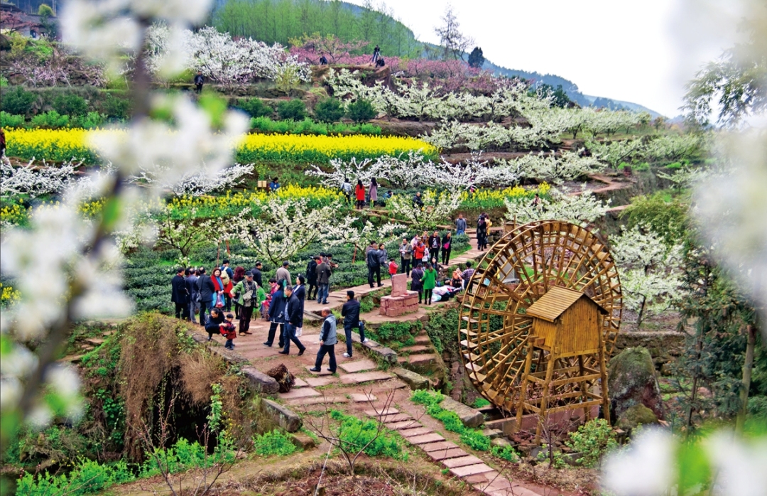 幸福古村 春游图.jpg