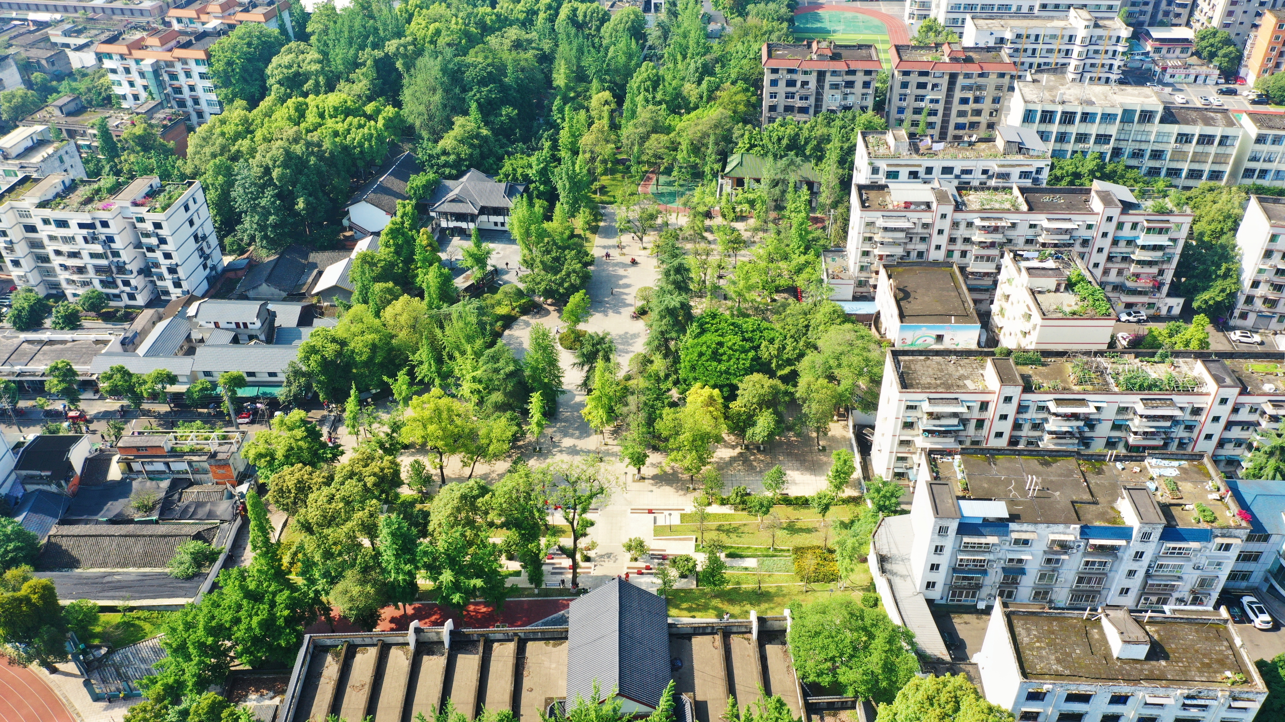 改造后的凤鸣公园绿树成荫、环境优美。.jpg