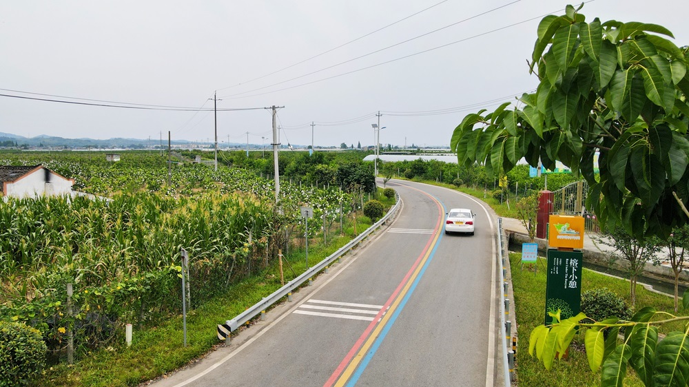 农村公路宽敞平整。.jpg