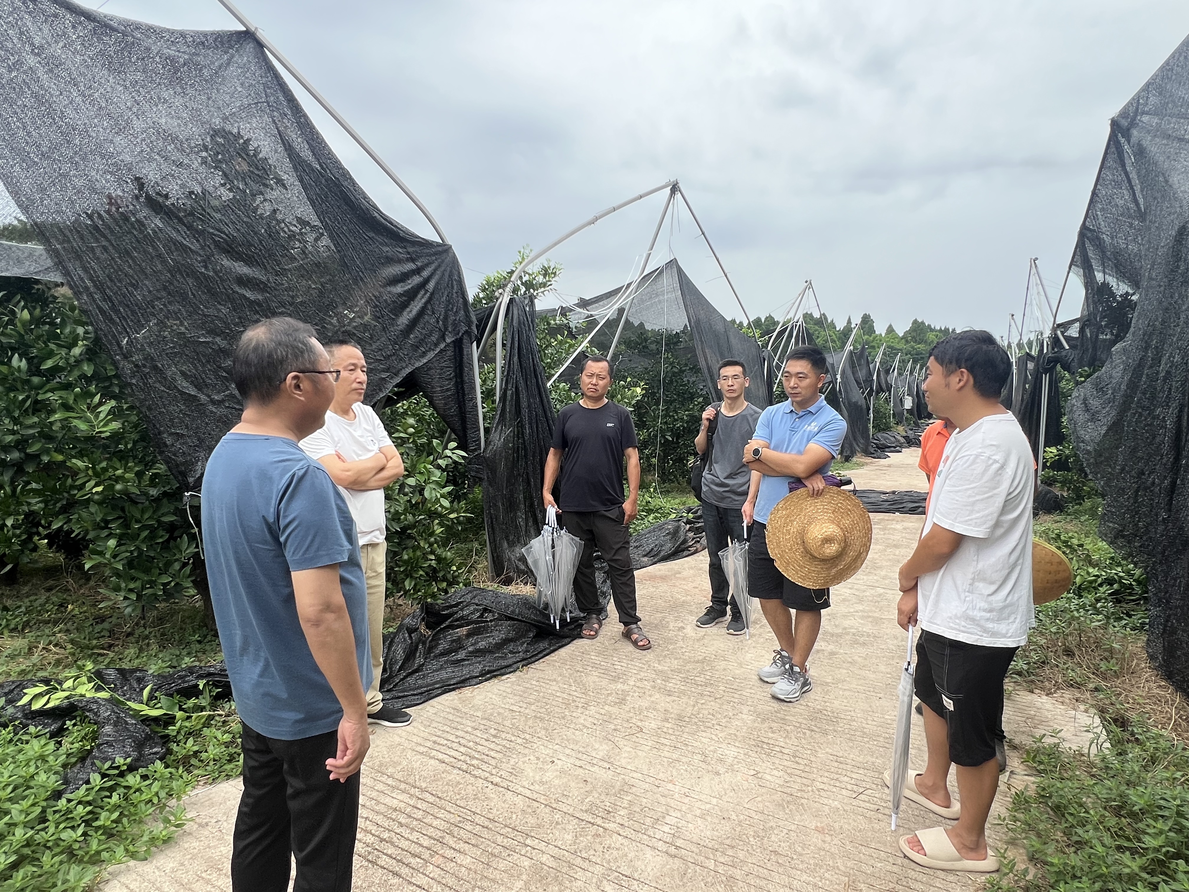 W020250718533424989556.jpg W020250718533424989556.jpg