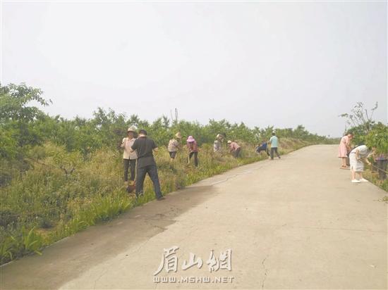 88.jpg
