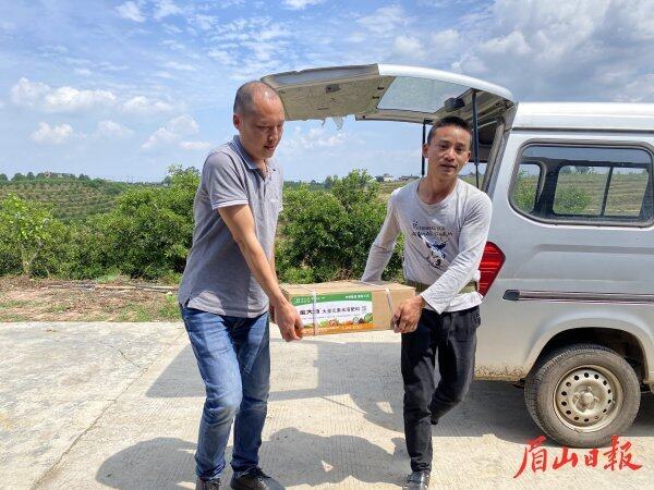 为种植大户配送果树所需的肥料。