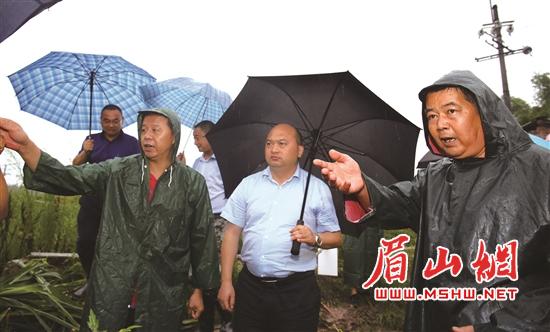 秦彪在石咀乡视察汛情。.jpg