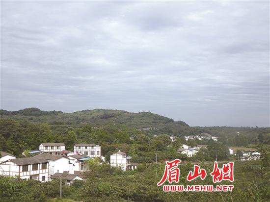 党建引领，建设生态宜居文宫。.jpg