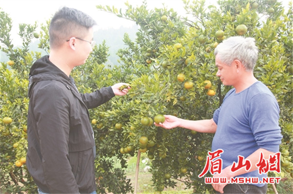 1 (1)_副本.jpg