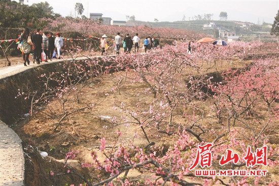 res04_attpic_brief (1)_副本.jpg